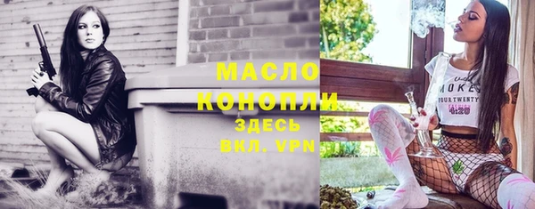 тгк Вяземский